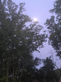 Eventide Eventide